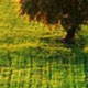 Polska_Nieodkryta_080